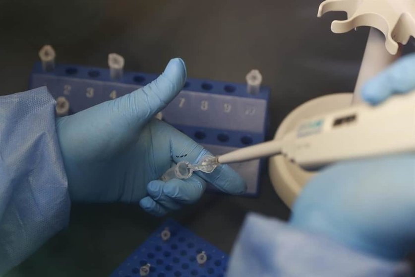 España autoriza primer ensayo clínico fase III para vacuna coronavirus Foto: EFE