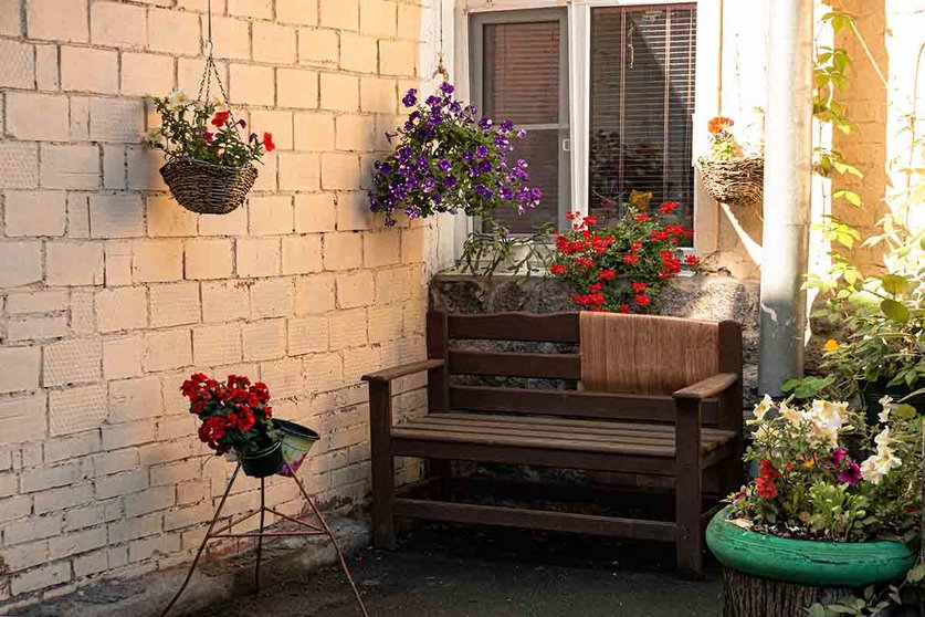  8 plantas perfectas para que tu terraza luzca increíble este verano. Foto Unsplash. 