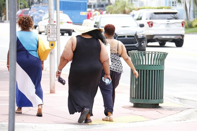 COVID y obesidad mórbida: este es el riesgo de padecer esta enfermedad Foto: Pixabay